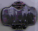 pin.png